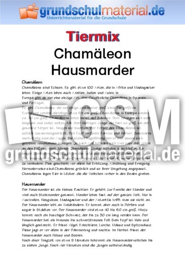 Chamäleon - Hausmarder.pdf